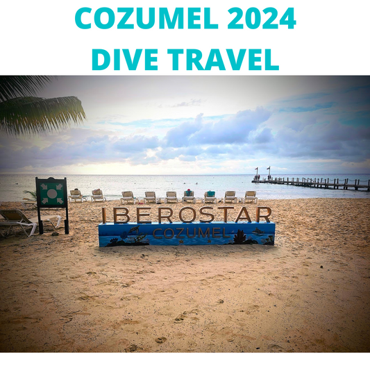 Cozumel 2024 Dive Travel
