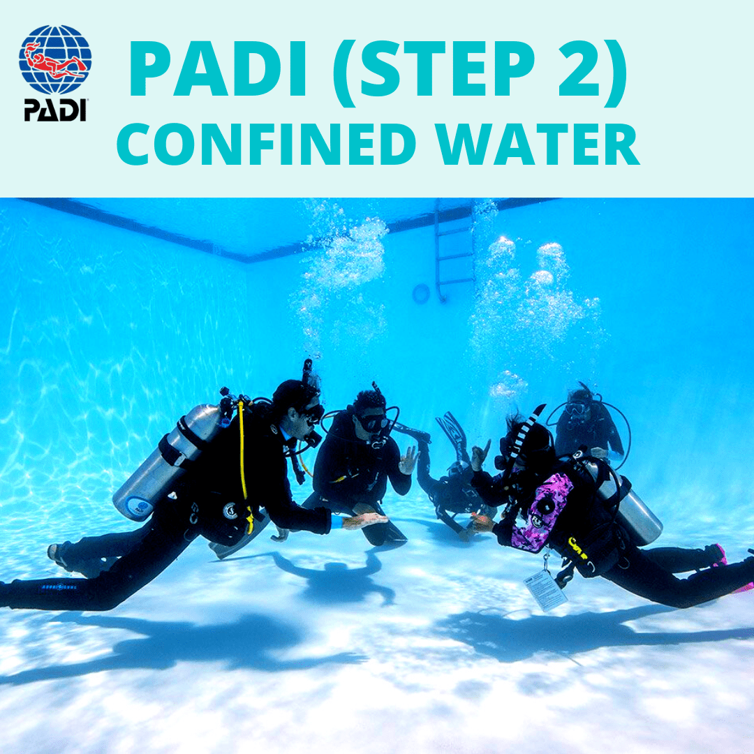 New England Dive Custom PADI OWSD (Step 2) Confined Water Training CW PADI OWSD (Step 2) Confined Water Training CW
