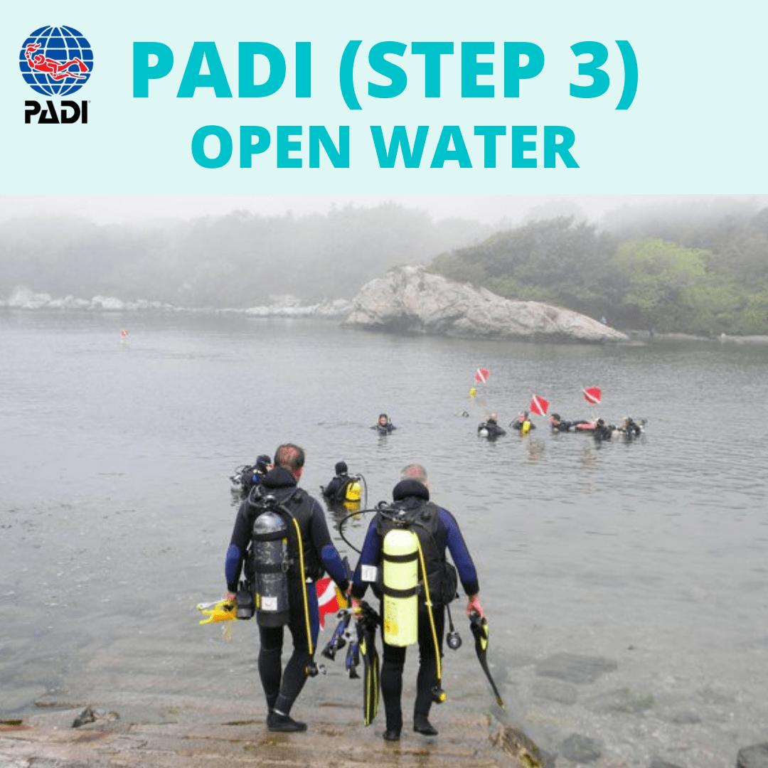 New England Dive Custom PADI OWSD (Step 3) Open Water OW PADI OWSD (Step 3) Open Water OW