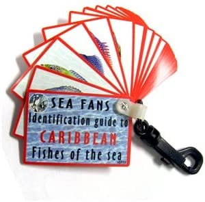Trident Fish Identification Fans - Florida - 34