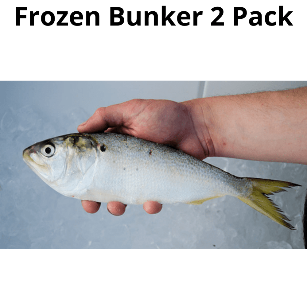 FROZEN-BUNKER 2-pack - FROZEN-BUNKER 2-pack - 1