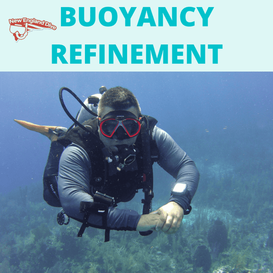 NED Buoyancy Refinement - NED Buoyancy Refinement - 1