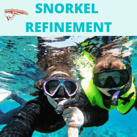 NED Snorkel Refinement - NED NED Snorkel Refinement - 1