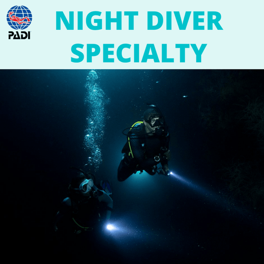 PADI Night Diver Specialty - PADI Night Diver Specialty - 1