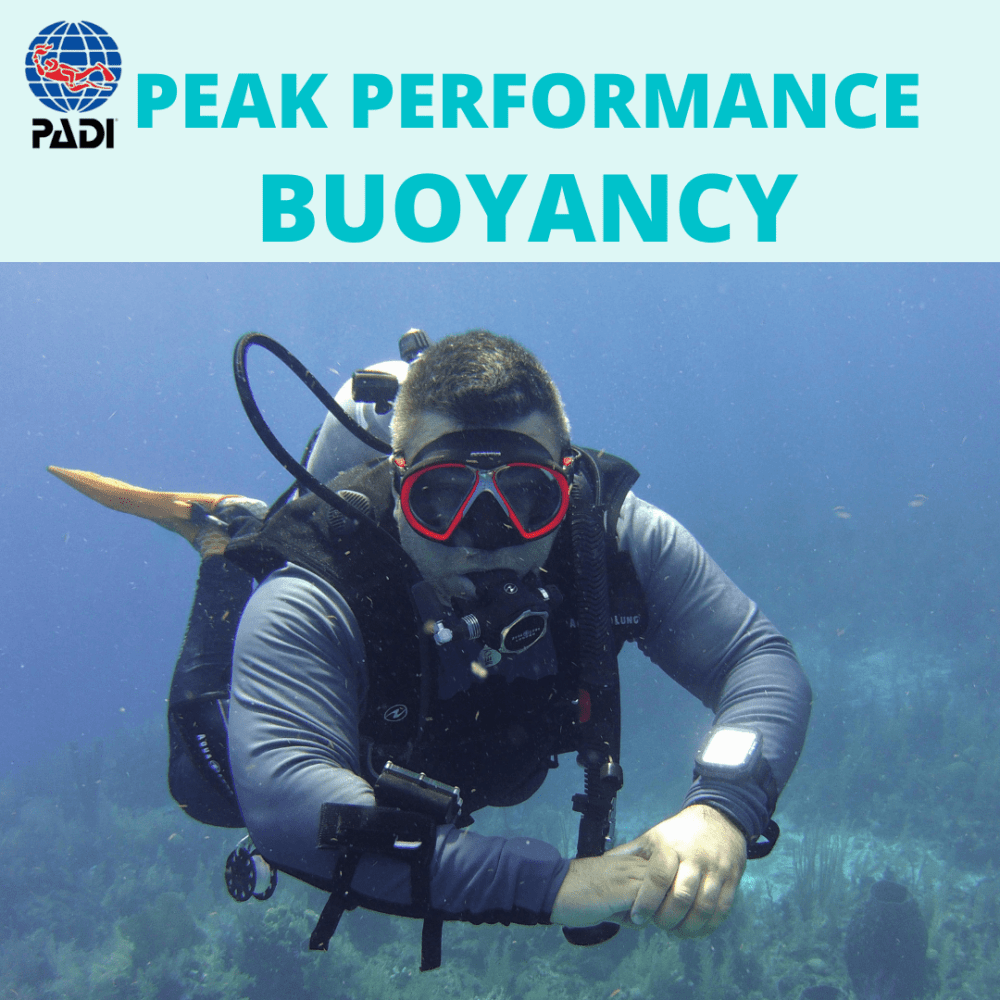 PADI Peak Performance Buoyancy Specialty - PADI Peak Performance Buoyancy Specialty - 1