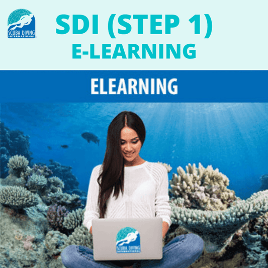 SDI OWSD (Step 1) E-Learning - SDI OWSD (Step 1) E-Learning - 1