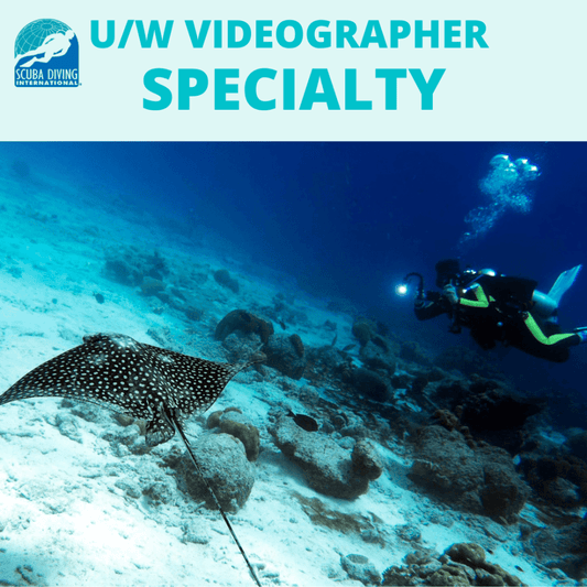 SDI U/W Videographer Specialty - SDI U/W Videographer Specialty - 1