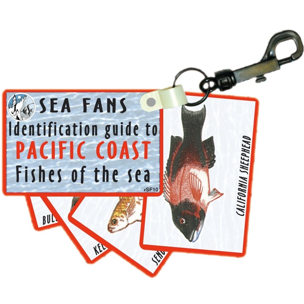 Trident Fish Identification Fans - Pacific Coast - 4