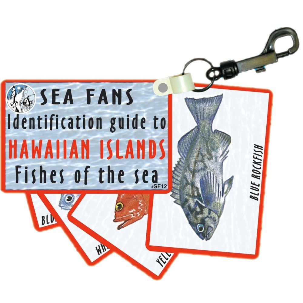 Trident Fish Identification Fans - Hawaii - 3